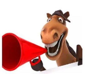 晴美互動榮獲綿陽網站建設前十強，深耕互聯網接入服務領域